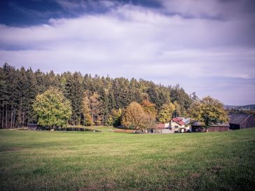 Ferienwohnung 2 Ferienhof Stöhrmühle
