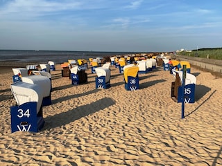 Während der Saison haben Sie Ihren eigenen Strandkorb