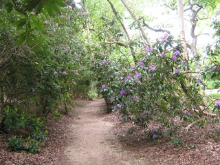 Holiday apartment Domburg Environment 14