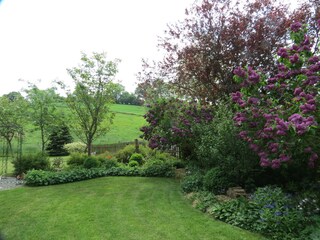Blick in den Garten