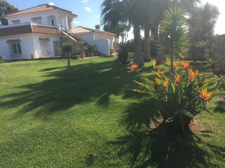 Appartamento per vacanze Conil de la Frontera Registrazione all'aperto 5