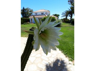 Appartamento per vacanze Conil de la Frontera Registrazione all'aperto 12