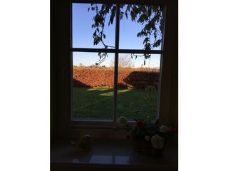 Aussicht vom Wohnzimmerfenster
