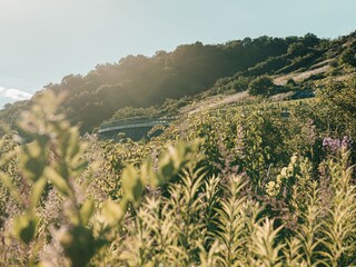 Aussicht
