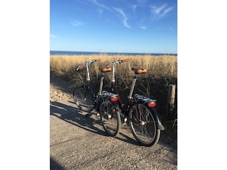 Ausflug zum Weidenfelder Strand