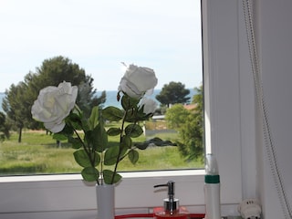 Ferienwohnung Fažana Außenaufnahme 6