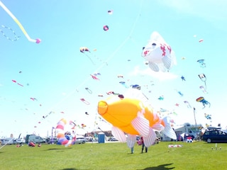 Drachenfest in Norddeich