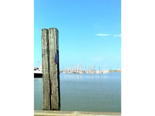 im Hafen