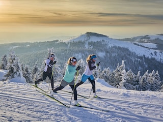 Langlaufen in Bodenmais auf über 100km gespurten Loipen