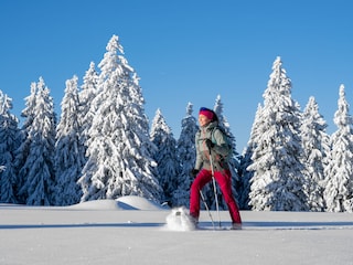 Schnee-Schuh-Wandern im Winterwunderland Bodenmais