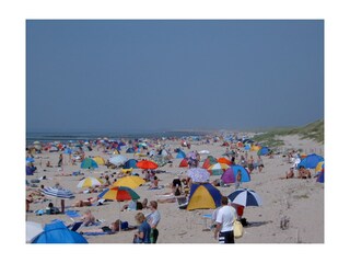 Chalet Callantsoog Ambiente 18