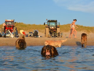 Chalet Callantsoog Ambiente 20