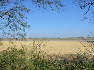 Chalet Callantsoog Registrazione all'aperto 3