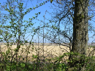 Chalet Callantsoog Pianta del piano 21