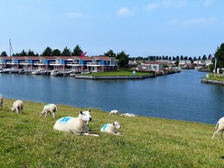 Casa per le vacanze Workum Registrazione all'aperto 4