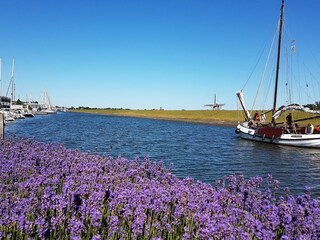 Casa per le vacanze Workum Documento 25