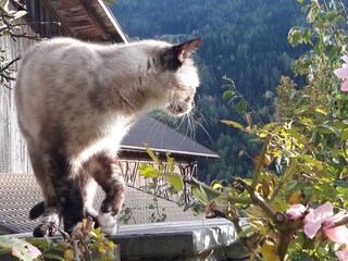 Vakantieappartement Vintl Omgeving 29