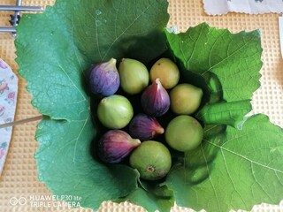 Casa per le vacanze Santa Luce Ambiente 29