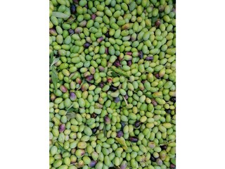 Casa per le vacanze Santa Luce Ambiente 30