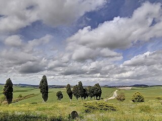 Casa per le vacanze Santa Luce Ambiente 33