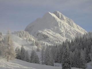 skiing slopes