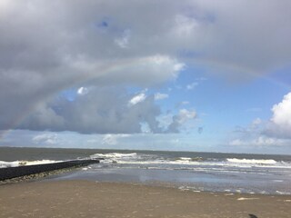 Nach Regen kommt Sonne
