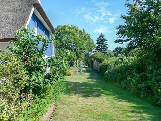 Ferienhaus Wieck Außenaufnahme 10