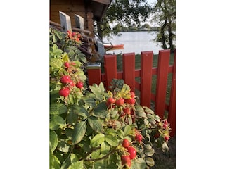Ferienhaus Nordseebad Eckwarderhörne Außenaufnahme 10