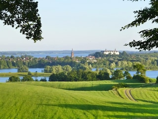 Ein schöner Blick auf Plön über sommerliche Felder