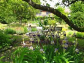 A shady spot under the trees in the upper garden