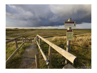 Bungalow Callantsoog Ambiente 19