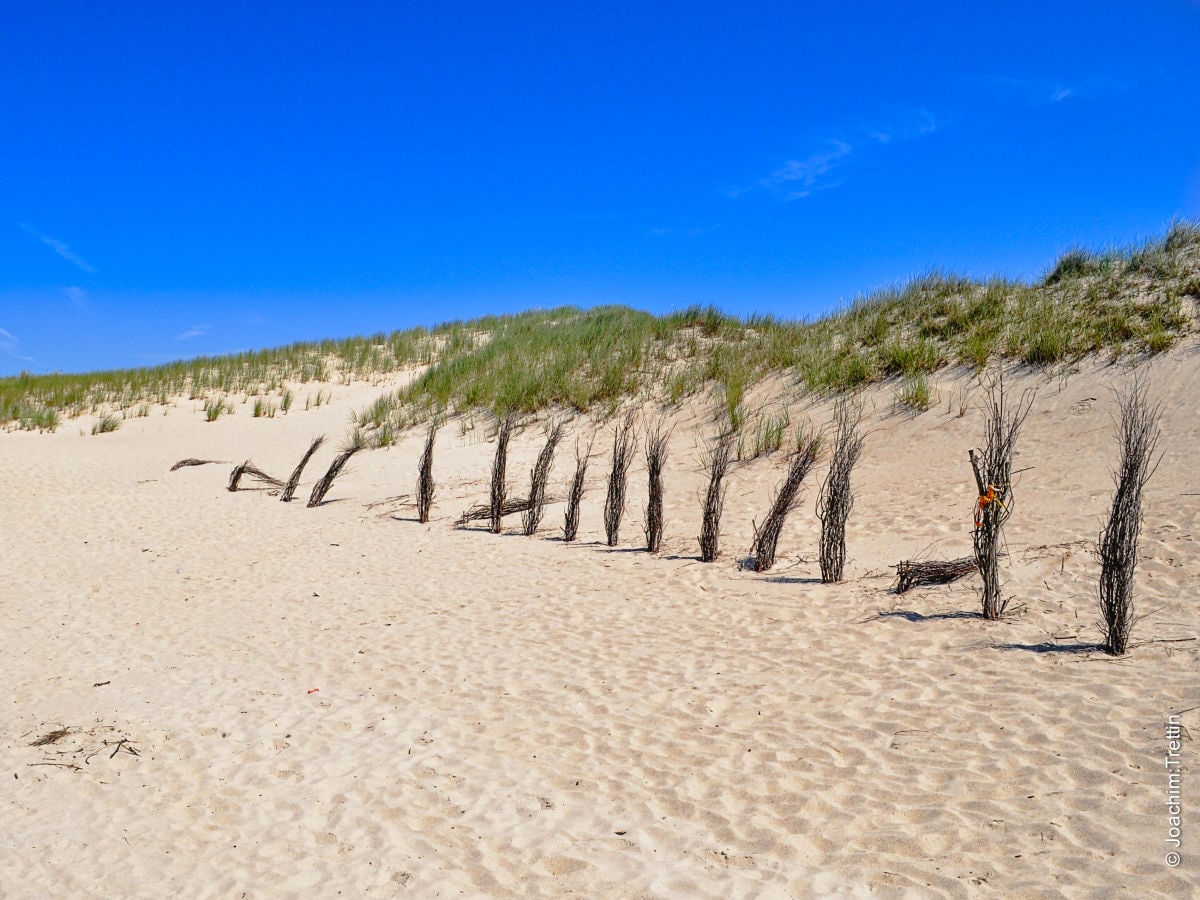 Stranddünen