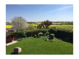 Unser Gartenbereich mit Teich