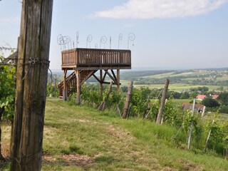 Casa per le vacanze Bad Gleichenberg Ambiente 17