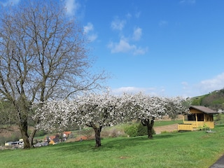Vakantiehuis Bad Gleichenberg  23
