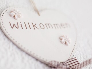 Appartamento per vacanze St. Jakob im Ahrntal Caratteristiche 11