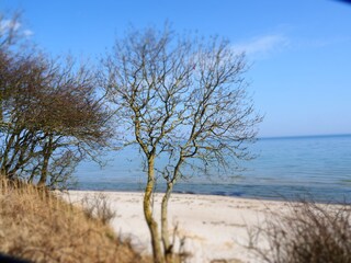Ferienwohnung Gelting Umgebung 20