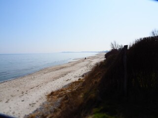 Ferienwohnung Gelting Umgebung 21