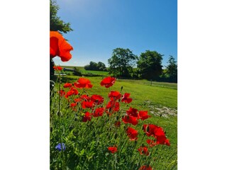 Holiday apartment Vollerwiek Features 19