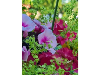 Holiday apartment Vollerwiek Environment 27