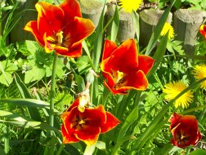 Ferienwohnung Op de Warft Nordsee