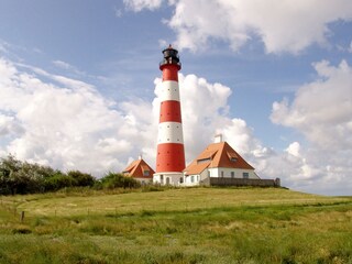 Holiday apartment Vollerwiek Environment 23