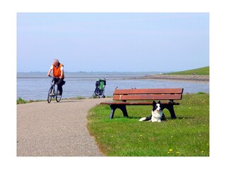 Holiday apartment Vollerwiek Environment 22