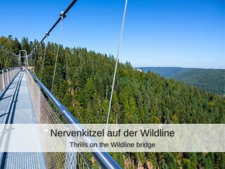 Nervenkitzel auf der Wildline