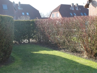eigener Garten (Winterbild)