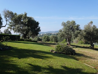 Garten mit Liegewiese