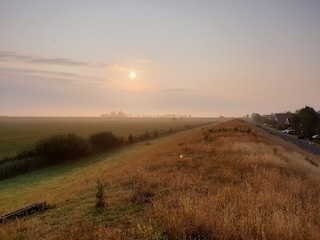 fewo-carolinchen2 morgens am alten Deich