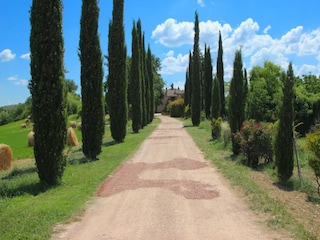 Villa Fratta Todina Omgeving 37