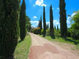 Villa Fratta Todina Omgeving 39