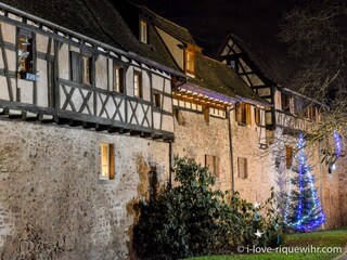 Appartamento per vacanze Riquewihr Registrazione all'aperto 3